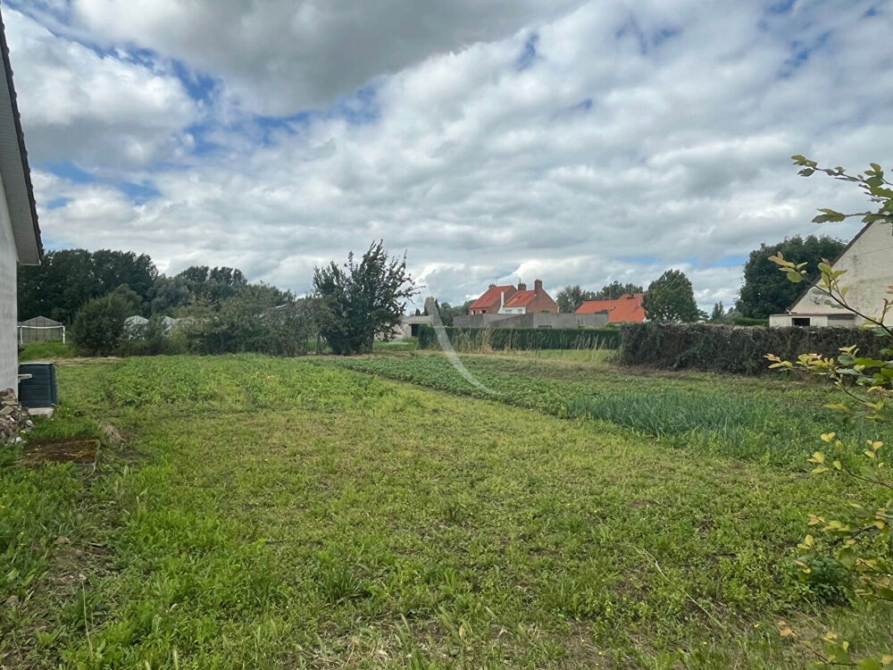 Vente Terrain Terrain constructible - 1000m� - SAINT OMER Saint omer
