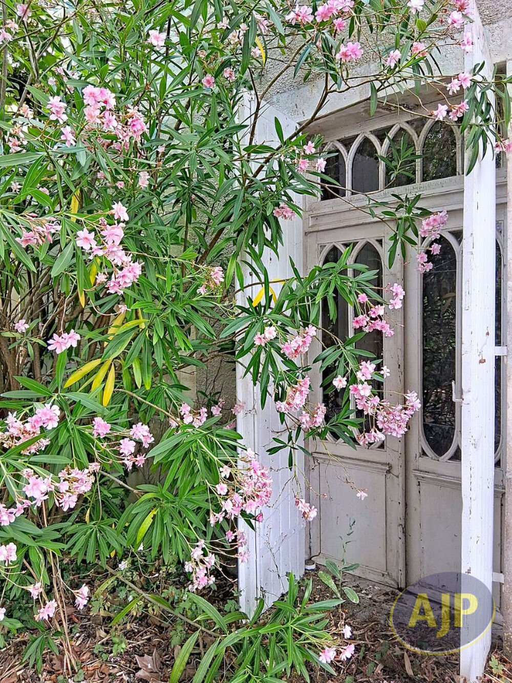 Maison Vertheuil