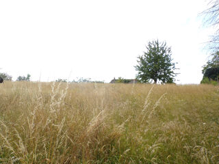  Terrain � vendre 942 m�