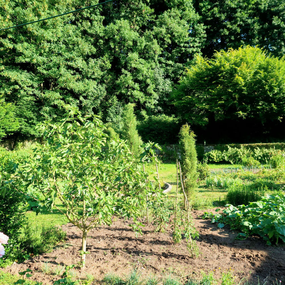  vendre  Maison Sombernon (21540)