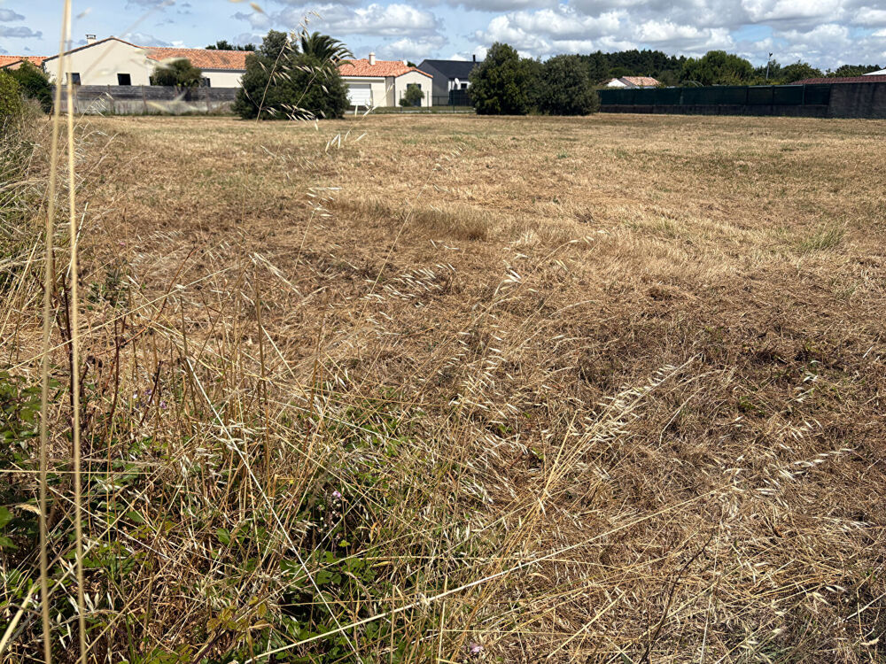 Vente Terrain Saint Gilles Croix De Vie terrain viabilisé 1000 m2 Saint gilles croix de vie