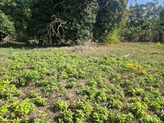  Terrain � vendre 794 m�