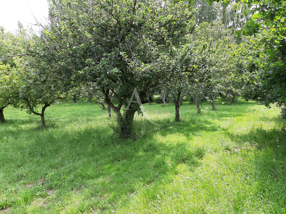 Vente Terrain Terrain de loisirs Venansault Venansault