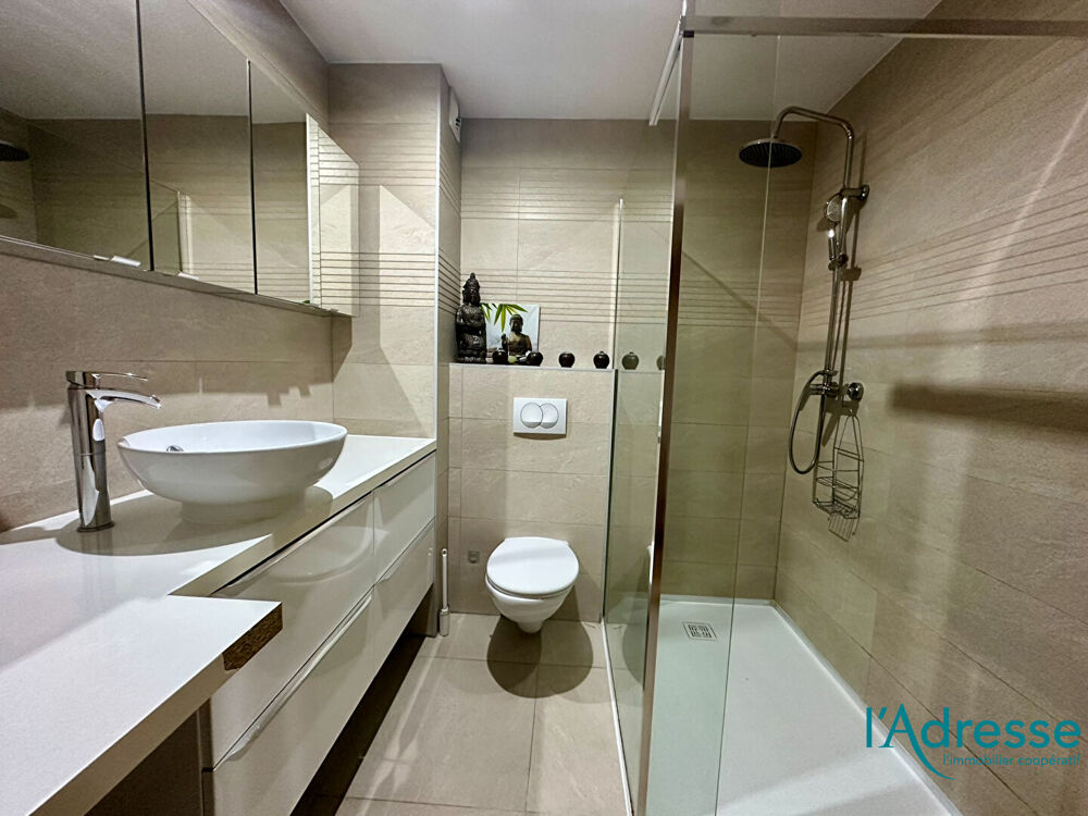 Vente Appartement T3 DUPLEX JARDIN  CAVE  et GARAGE Wintzenheim
