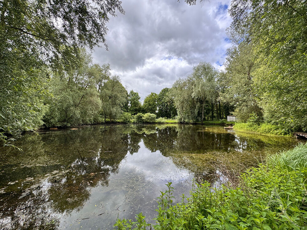 Vente Terrain ÉTANG - 9672 M² DE NATURE À 20 MIN D'AMIENS Chaussoy epagny