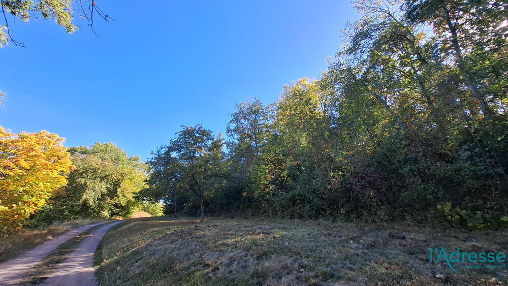 Vente Terrain Terrain Labaroche 2366 m2 Labaroche