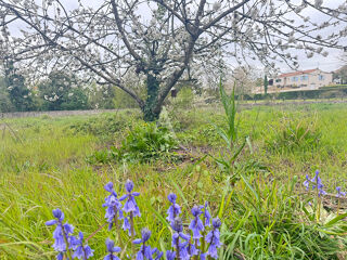 Maison à vendre 3 pièces 110 m²