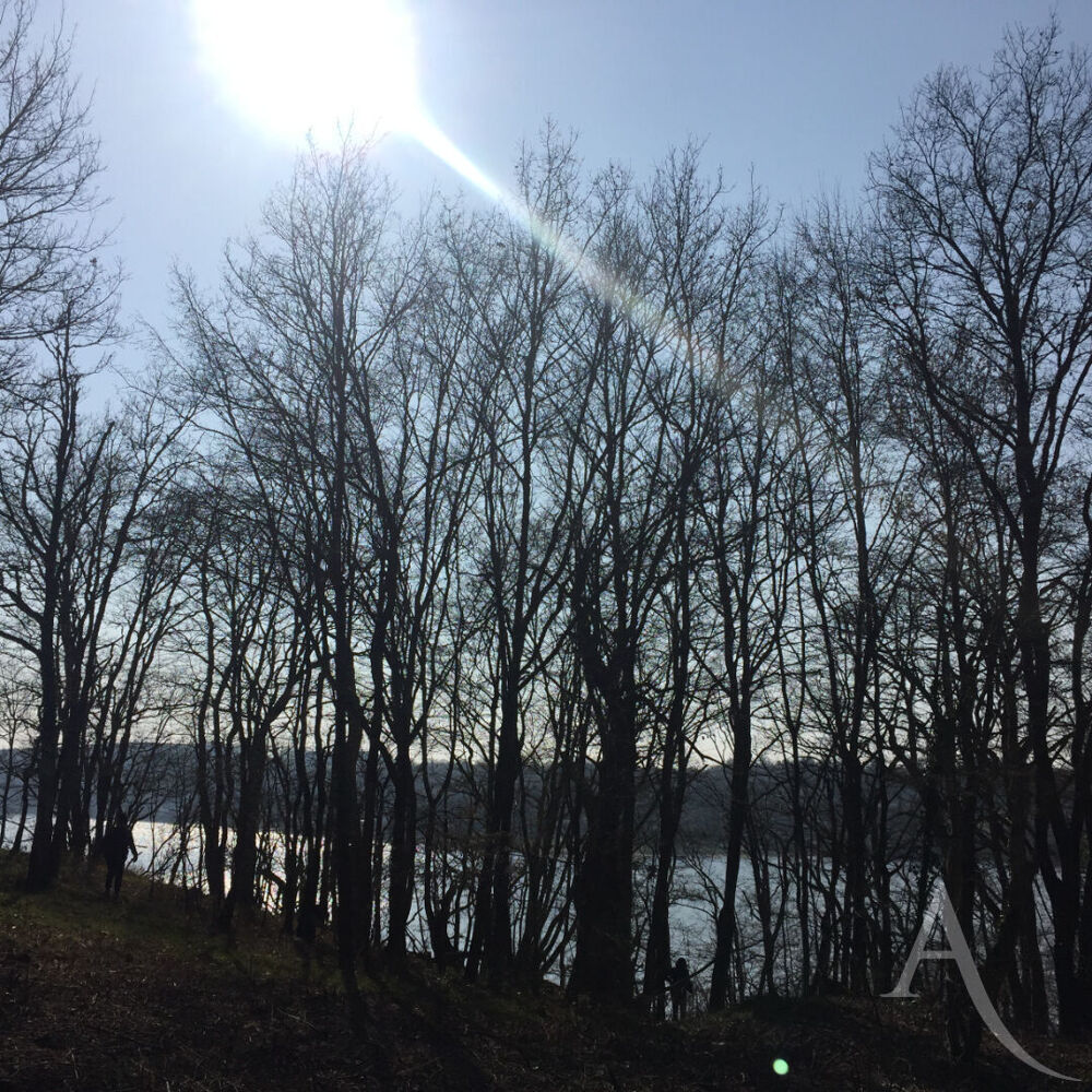 Vente Terrain Terrain avec vue sur Lac d'Eguzon Cuzion