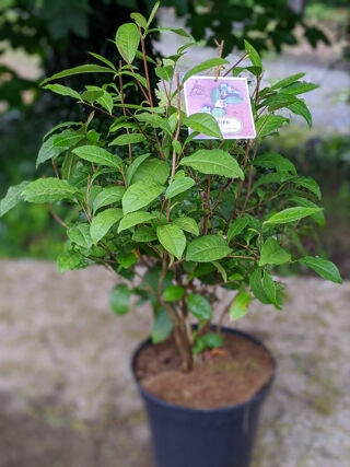  Terrain � vendre 8500 m�