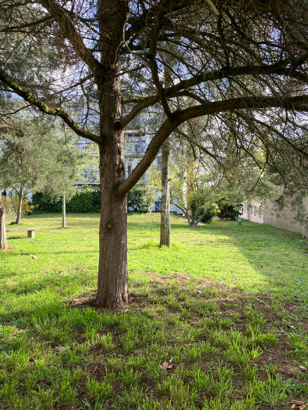 Vente Appartement Appartement  Parc  4 pièce(s) 73 m2 Maisons laffitte