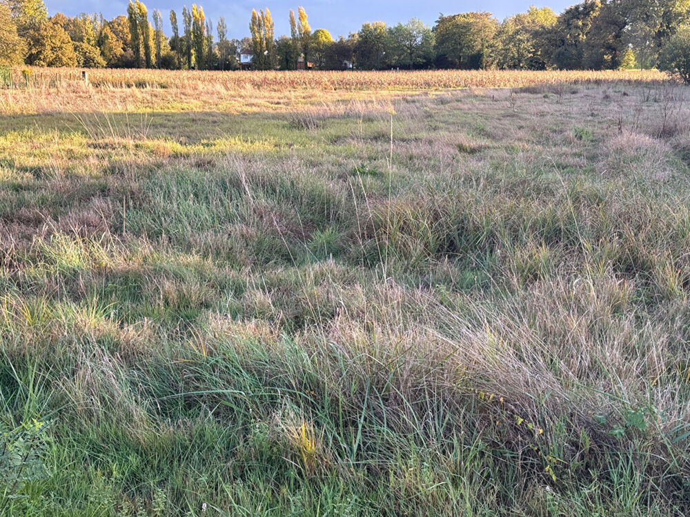 Vente Terrain terrain constructible proche des commerces de Montpon-Ménestérol Montpon menesterol