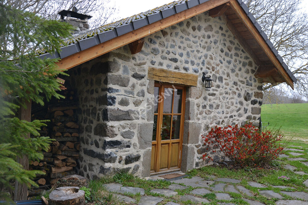 Maison meublée avec mezzanine 1 pièce(s), petit extérieur à 5 min Yssingeaux