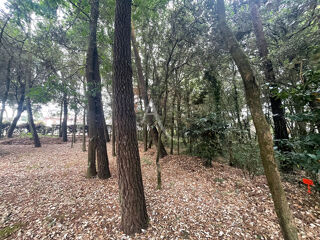  Terrain � vendre 282 m�