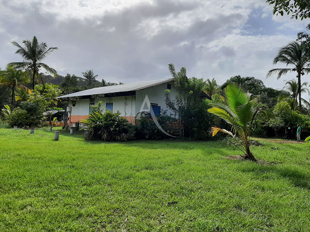 Vente Terrain TERRAIN ARBORE 9913 M2 Roura