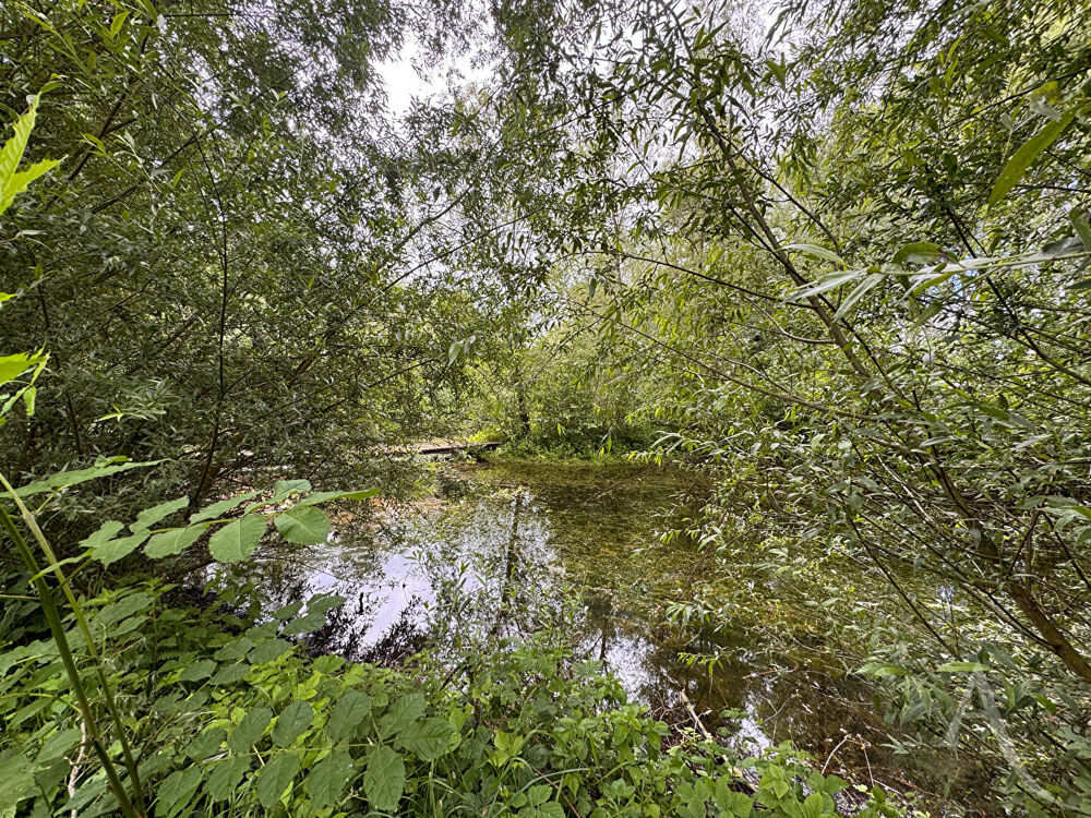 Vente Terrain ÉTANG - 9672 M² DE NATURE À 20 MIN D'AMIENS Chaussoy epagny