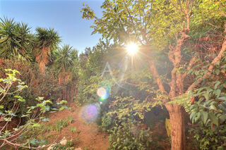  Appartement � vendre 5 pi�ces 89 m�