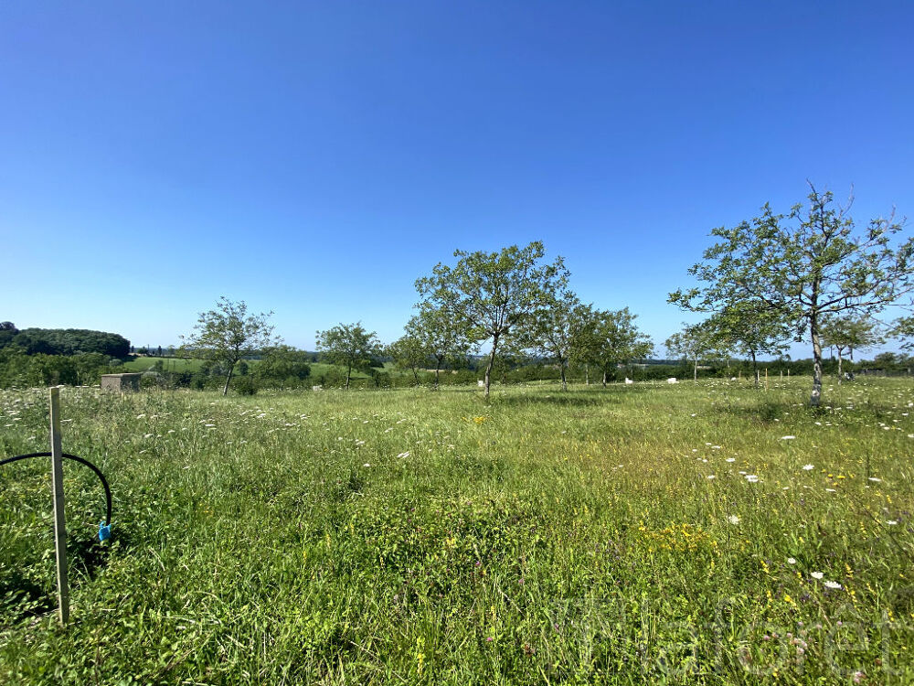 Vente Terrain Terrain Coligny 761 m2 Coligny