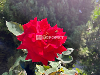  Maison � vendre 6 pi�ces 85 m�