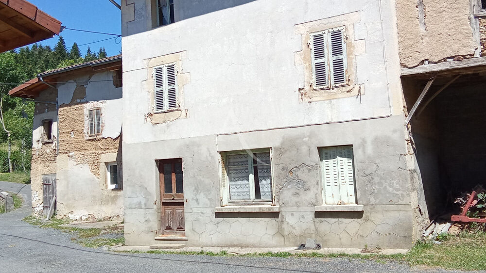 Vente Maison EN VENTE - AUGEROLLES  ensemble immobilier de 2  Maisons jumelées. Augerolles