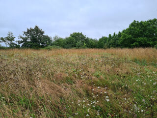  Terrain � vendre 3500 m�