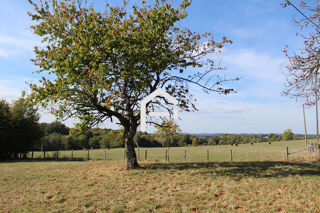  Terrain � vendre 2970 m�