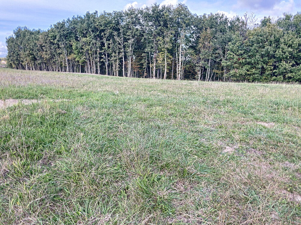 Vente Terrain Terrain secteur Monclar de QUercy de 800 m2 environ ! Monclar de quercy