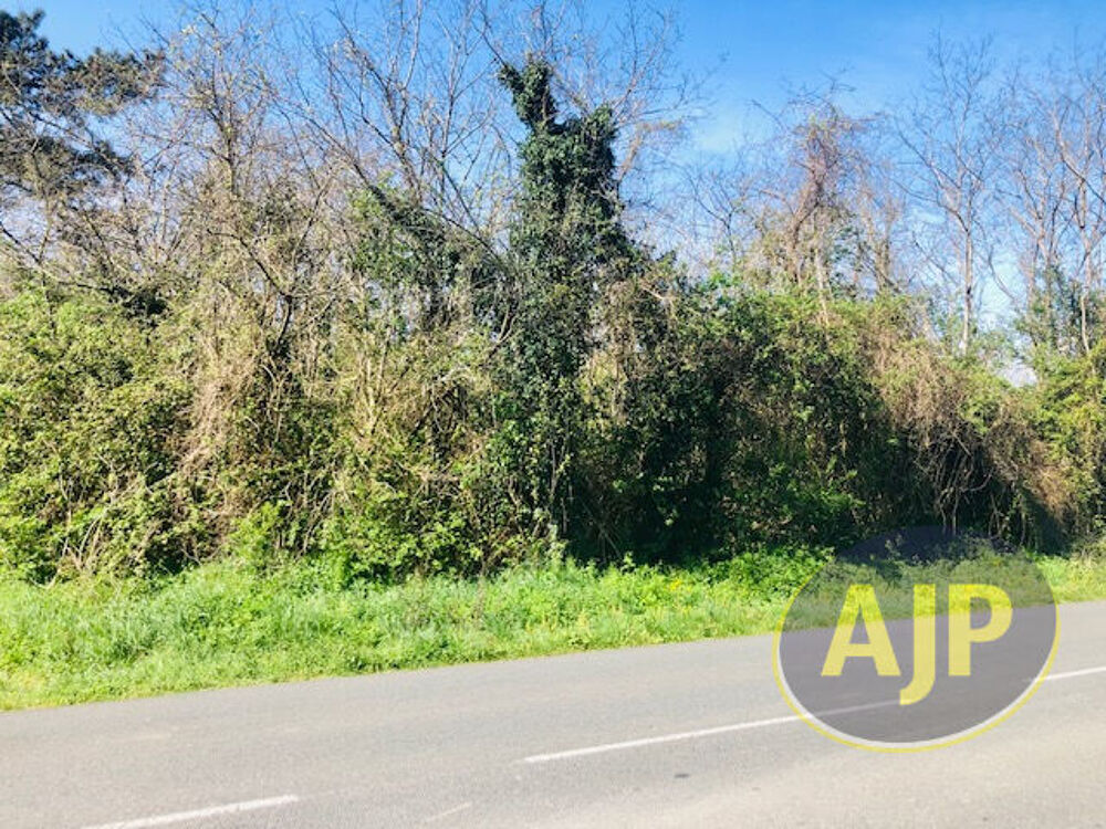 Vente Terrain Terrain Saint Germain D Esteuil 5903 m2 Saint germain d esteuil