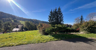  Immeuble � vendre 15 + pi�ces 450 m�