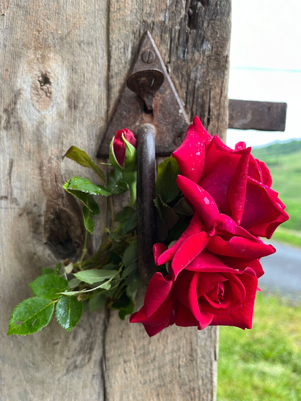 Vente Maison SALLES-LA-SOURCE: Maison de pays avec dépendances + jardin Salles la source