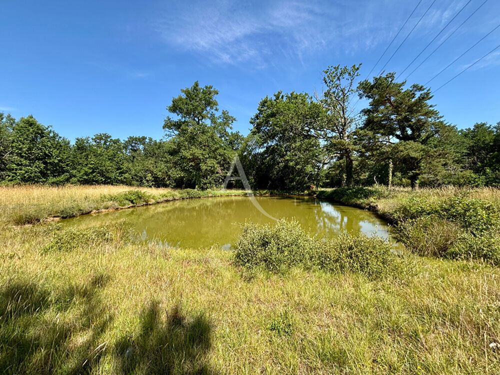 Vente Terrain Terrain de loisirs Chemery Chemery