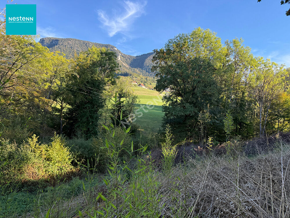 Vente Terrain FILLIERE (Aviernoz) _ Terrain agricole de 4 086 m², à vendre Filliere