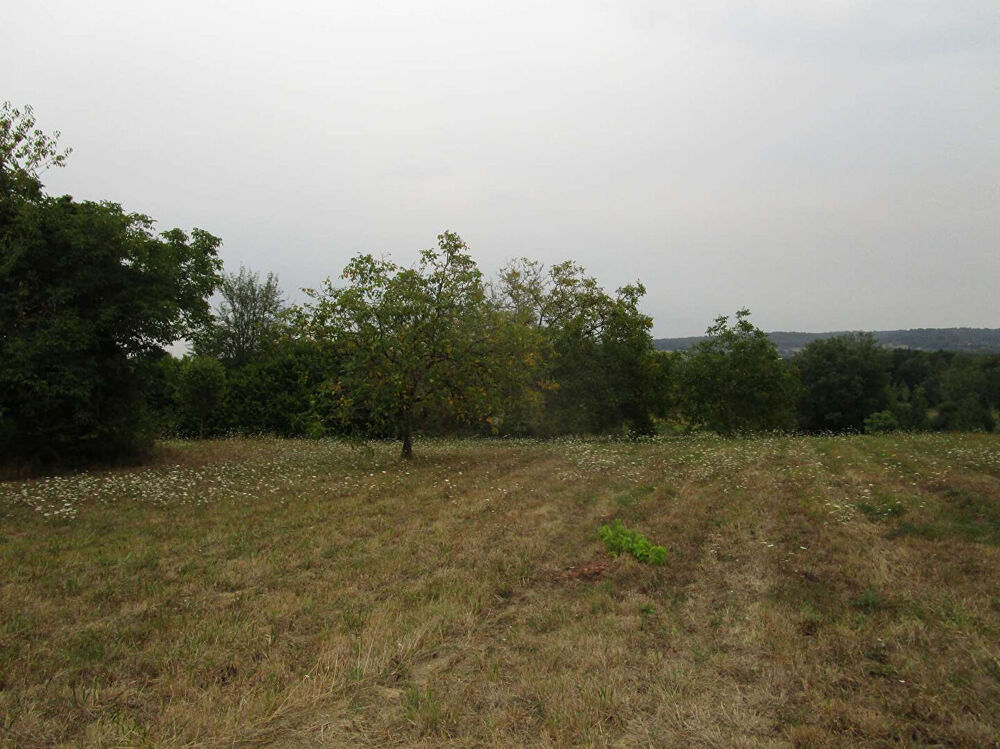 Vente Terrain Terrain Douzillac 2482 m2 Douzillac