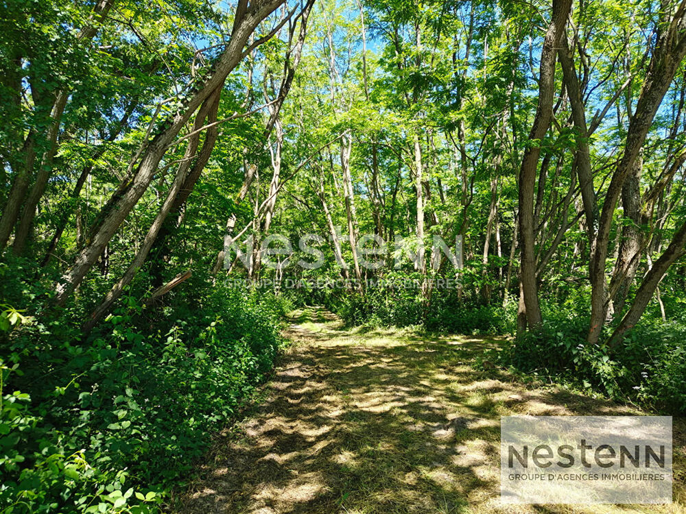 Vente Terrain magnifique domaine forestier en sologne/ chasse/ pêche/ détente/ 27ha situé à Fresnes Le controis en sologne