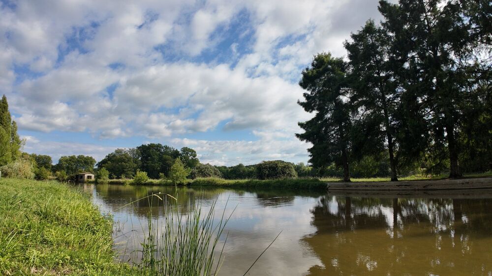 � vendre  Maison Peyrehorade (40300)