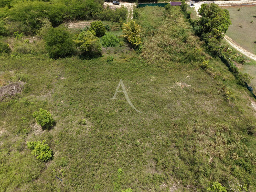 Vente Terrain 779 m² - Plus