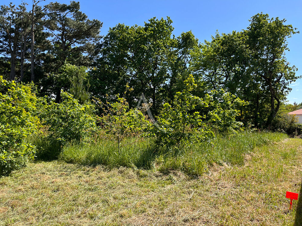 Vente Terrain Terrain  593 m2 Les achards
