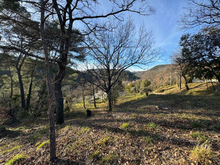  Terrain à vendre 1000 m²