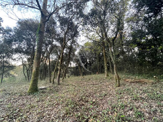  Terrain � vendre 800 m�