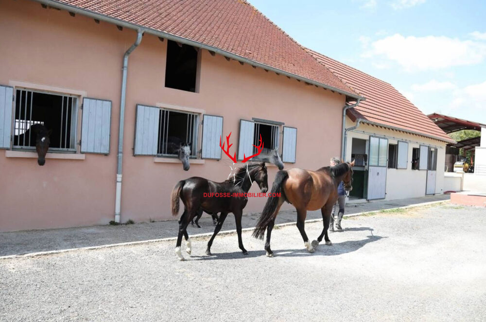 Haras d'exception de 40 hectares