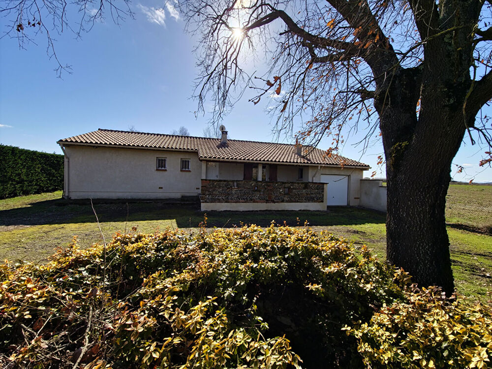 Secteur Rieumes ? Plain-pied 5 pièces avec piscine + dépendance de 117 m² aménageable en seconde habitation