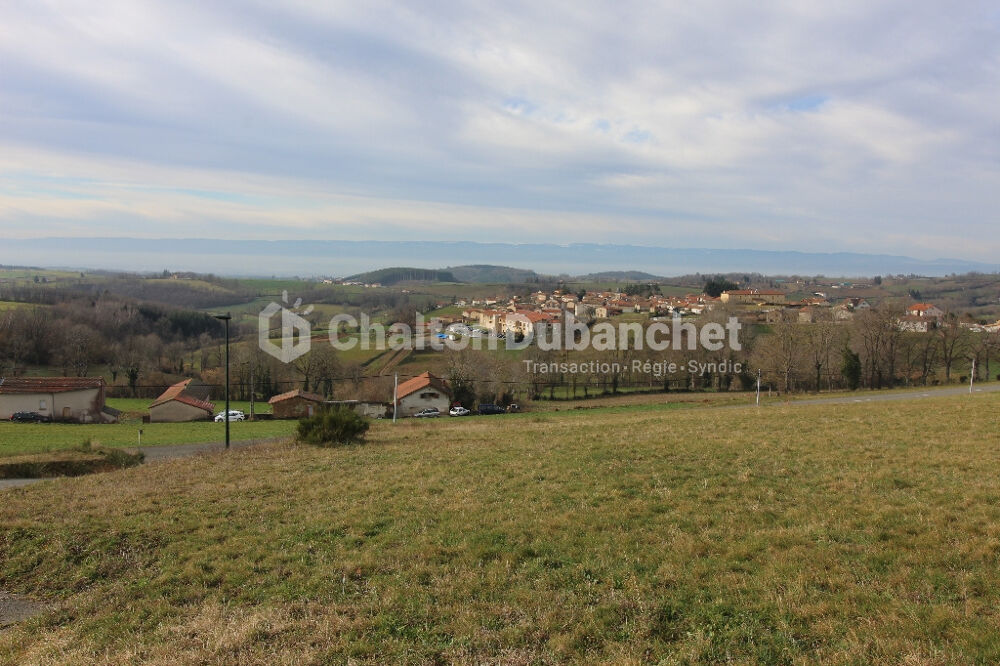 Vente Terrain MONTCHAL - Terrain viabilisé de 1240 m² Montchal