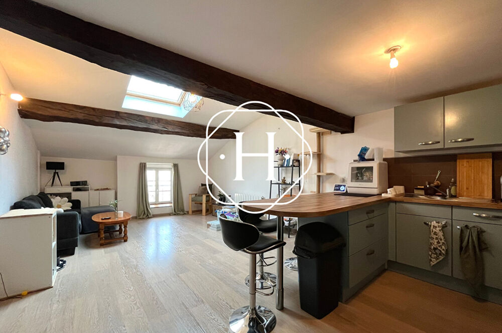 Appartement Bourg En Bresse 2 pièce(s) 53 m2