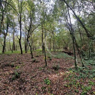  Terrain  vendre 2050 m