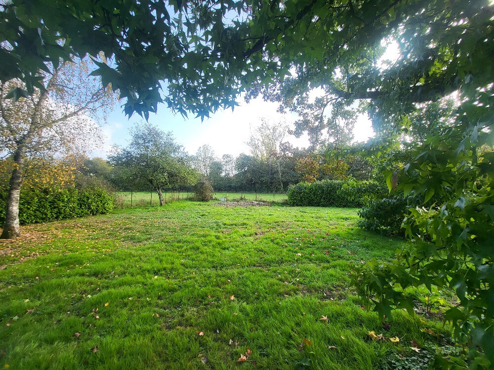 Vente Terrain Magnifique terrain à bâtir non viabilisé , Potentiel exceptionnel à SAINT MARCEL Saint andre de corcy