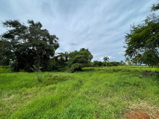  Terrain � vendre 1000 m�