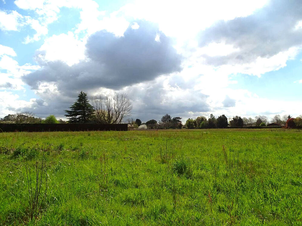 Vente Terrain Terrain constructible  Mussidan 4779 m2 Mussidan