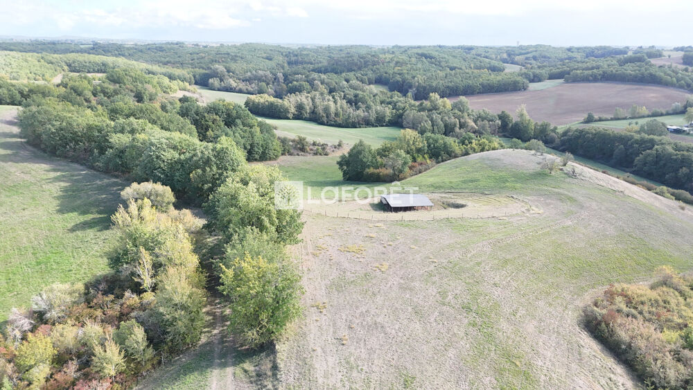 à vendre  Maison Montauban (82000)