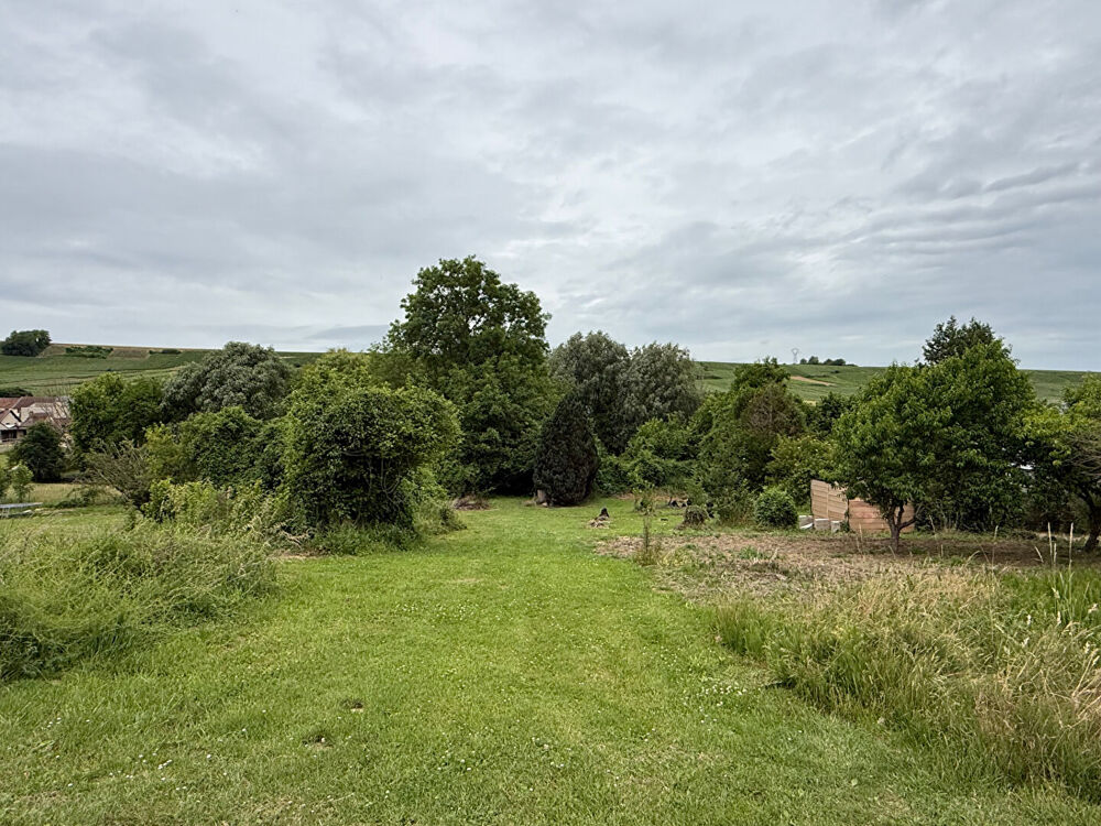 Vente Terrain Terrain à bâtir proche Jonchery Sur Vesle - vue sur la vallée / vignoble - 2100 m2 Jonchery sur vesle