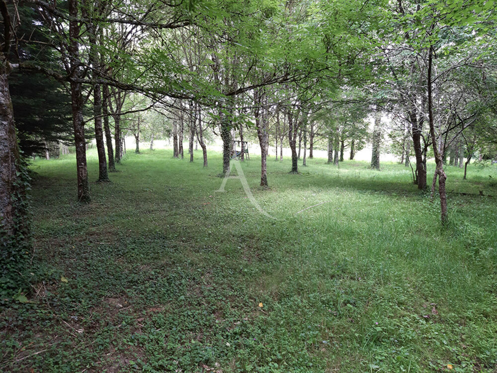 Vente Terrain Terrain de loisirs Venansault Venansault