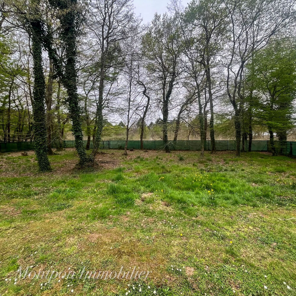Vente Maison Maison contemporaine Montpon menesterol